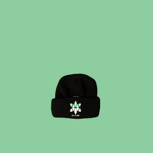 SLYSKIII BEANIE