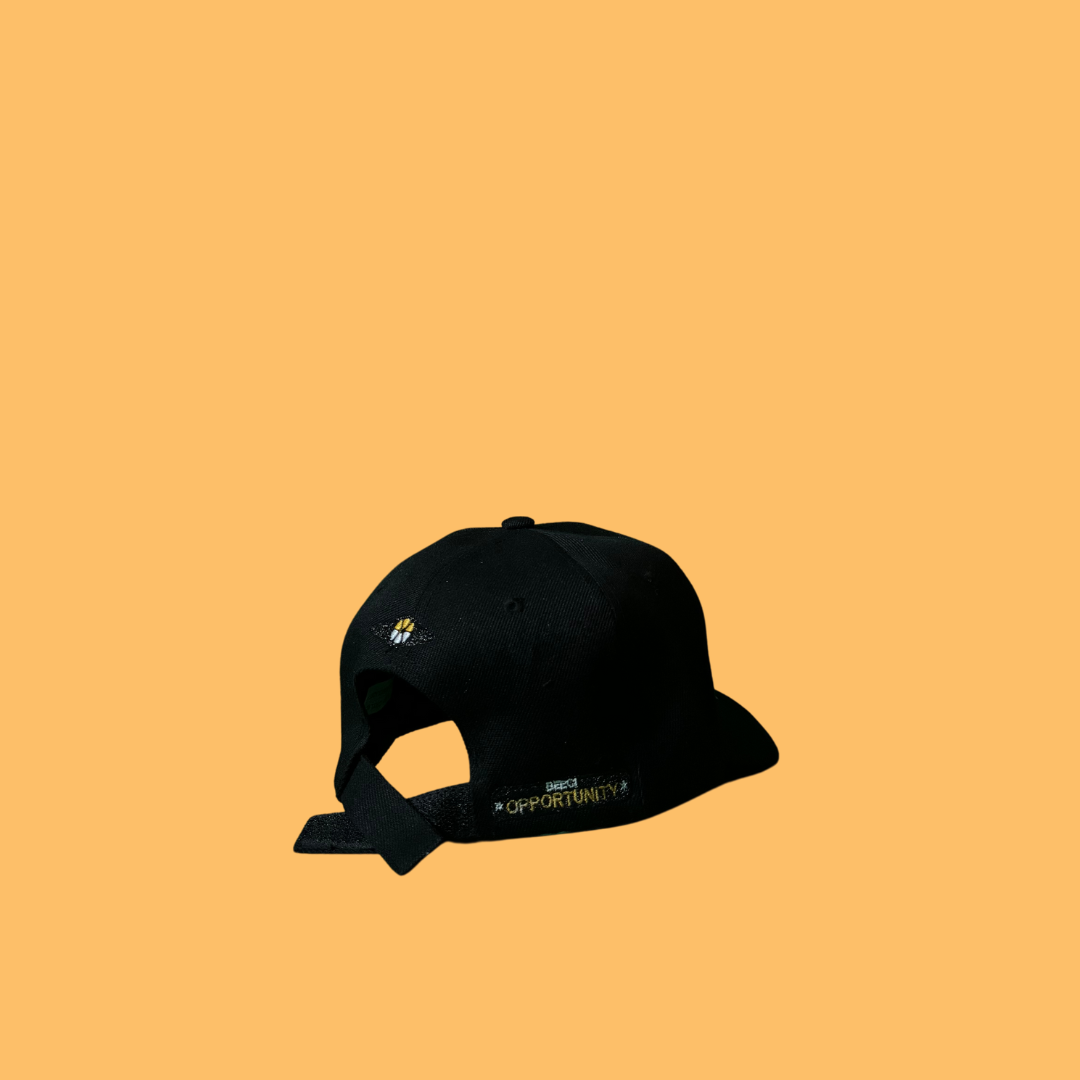 SLYCR0 CAP